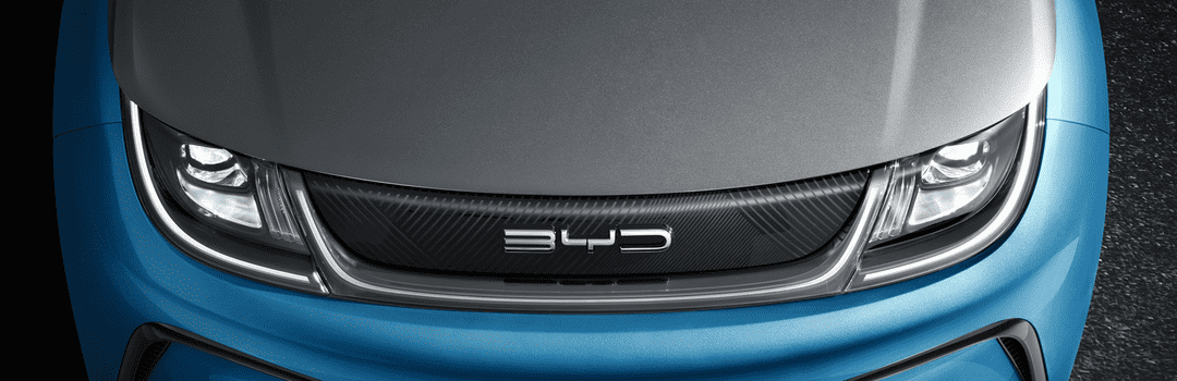 Tag BYD Ecoverso
